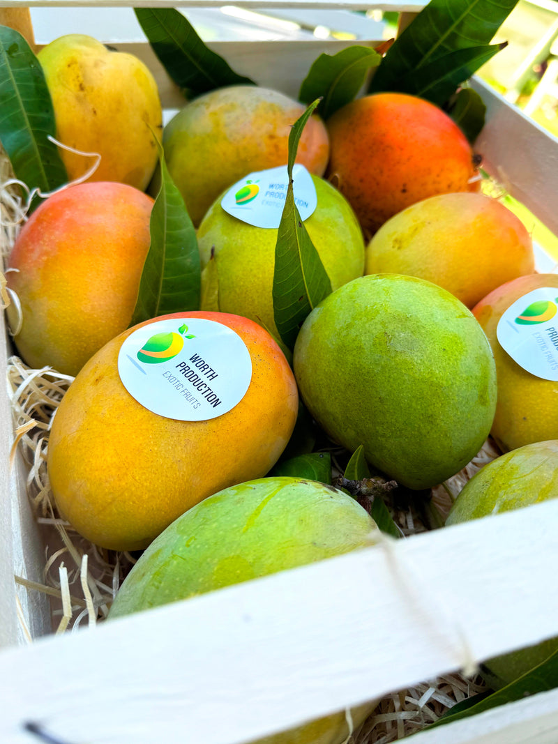 Mango BIO di Calabria maturo per dessert al cucchiaio