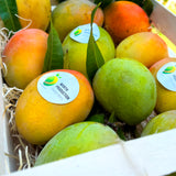 Box di mango Kensington Pride BIO coltivati in Calabria